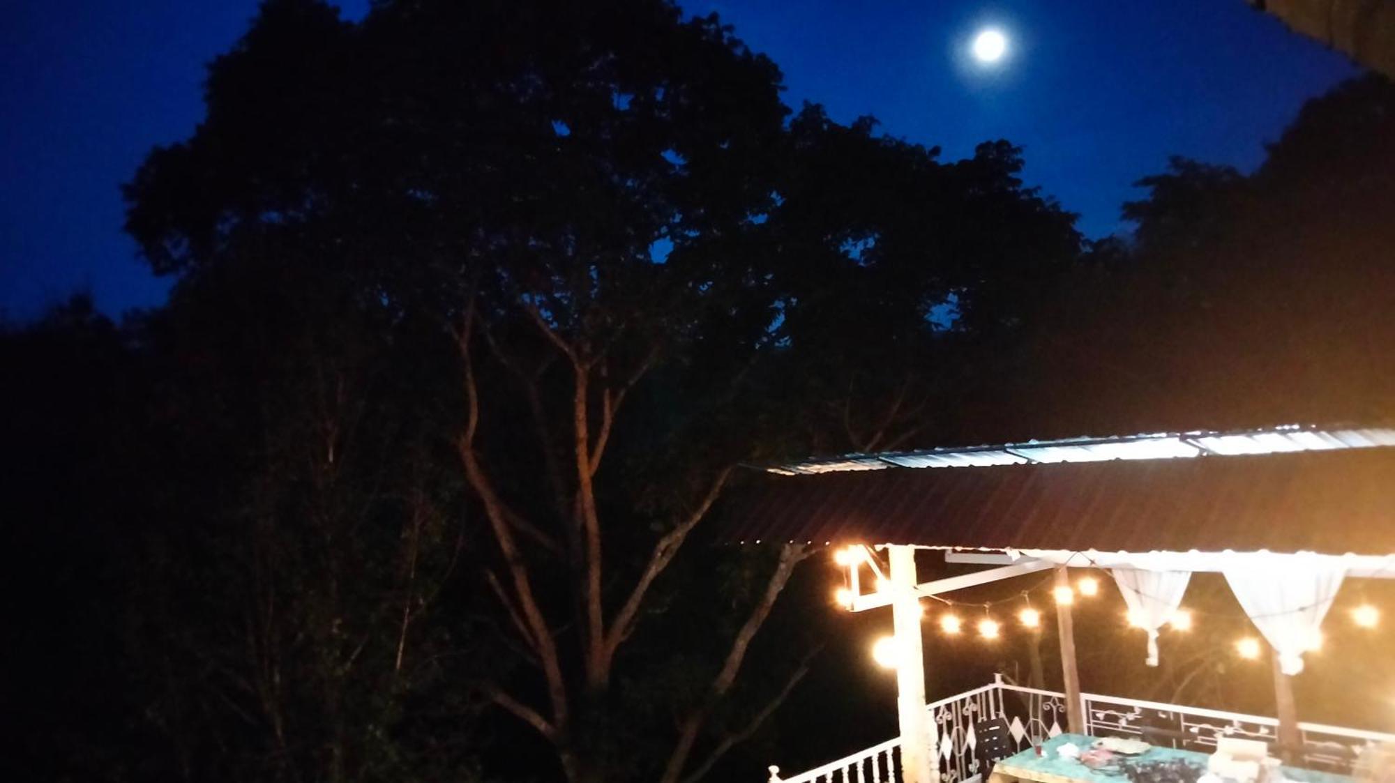 Balmy Hideout Cafe & Homestay Ban Huai Kaeo Exterior photo