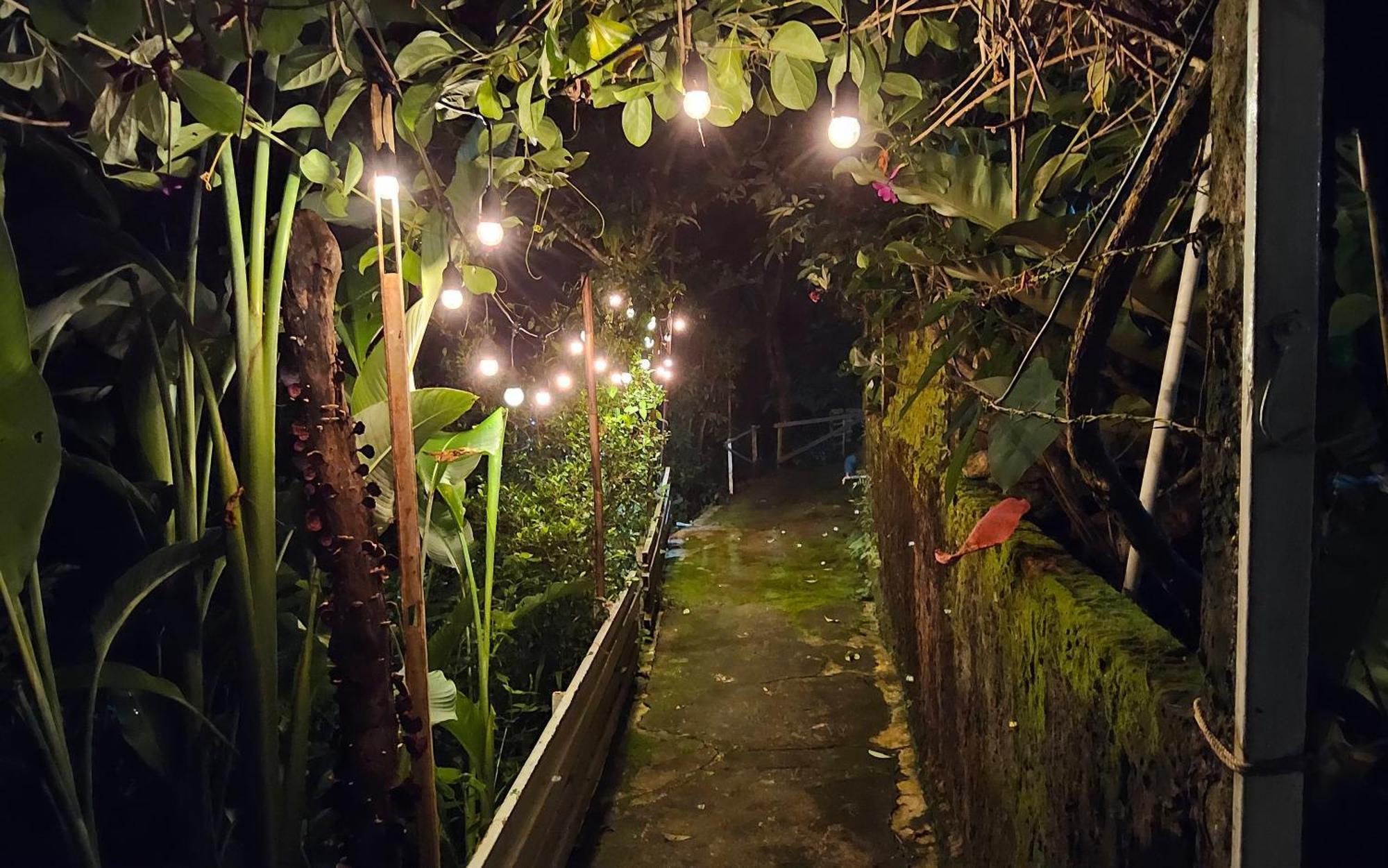 Balmy Hideout Cafe & Homestay Ban Huai Kaeo Exterior photo